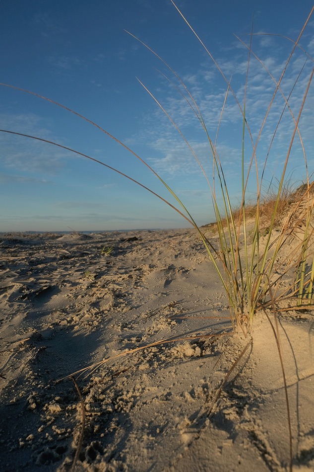 X-T2 Field Test Part III image 1