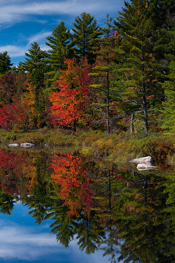 Gearing up for autumn: A helpful guide to shooting fall landscapes from ...