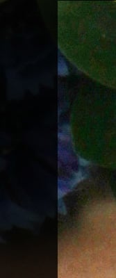 7D Imaging image 32