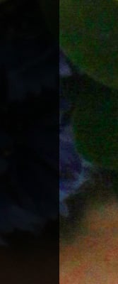 7D Imaging image 33