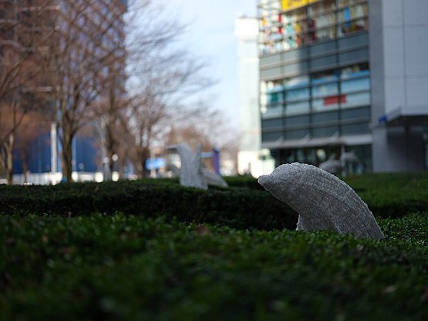 GFX 50S Tech2 image 18