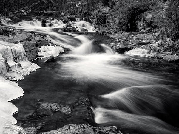 GFX 50S Field Test Part II image 9