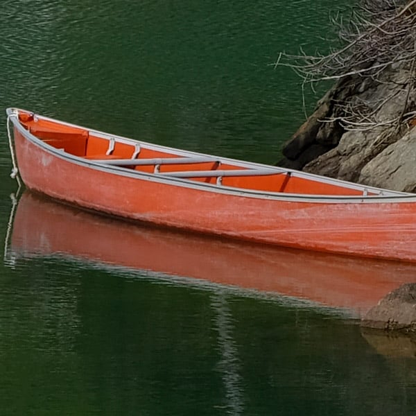 GFX 50S Field Test Part II image 11