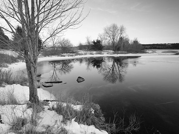 GFX 50S Field Test Part II image 20