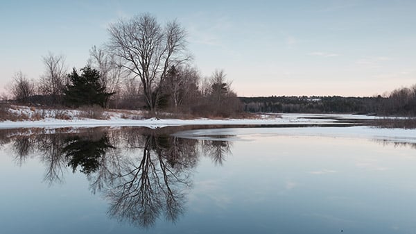 GFX 50S Field Test Part II image 22
