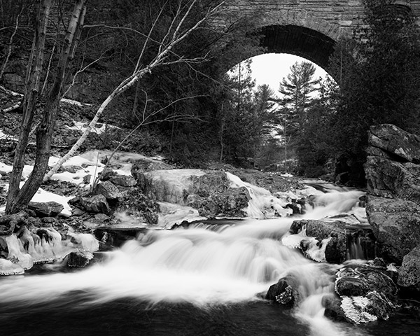 GFX 50S Field Test Part II image 26