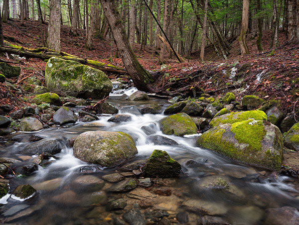GFX 50S Field Test Part III image 37