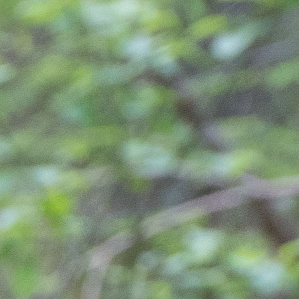 GFX 50S Field Test Part IV image 7