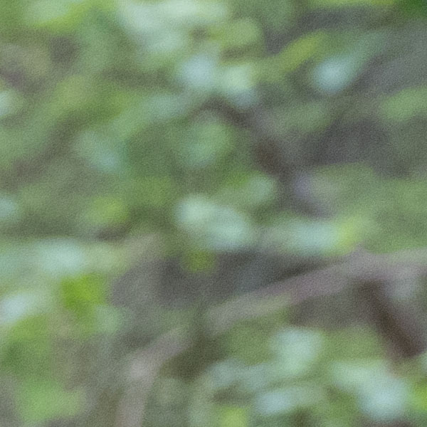 GFX 50S Field Test Part IV image 8