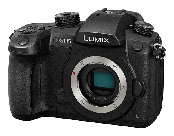 GH5 Field Test Part II image 4