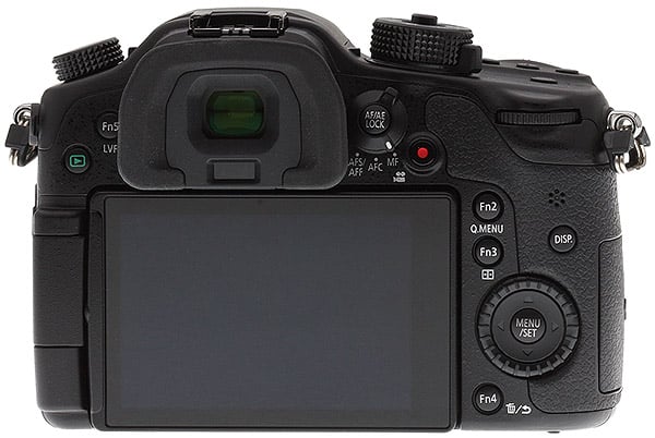 GH5 Field Test Part III image 3