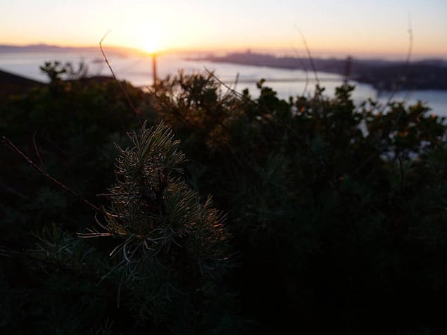 GH5 Field Test Part IV image 1