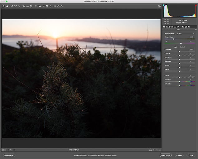 GH5 Field Test Part IV image 2