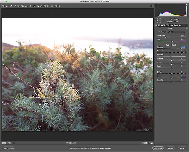 GH5 Field Test Part IV image 3