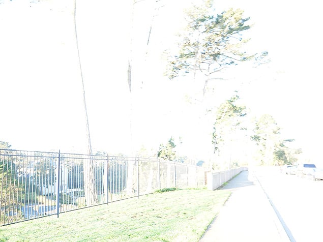 GH5 Field Test Part IV image 7