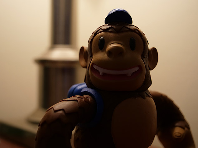 GH5 Field Test Part IV image 13