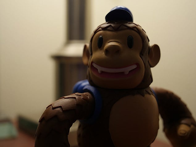 GH5 Field Test Part IV image 14