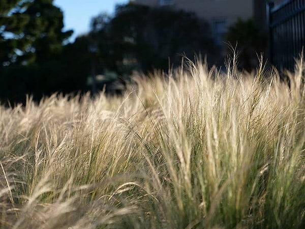 GH5 Conclusion image 7