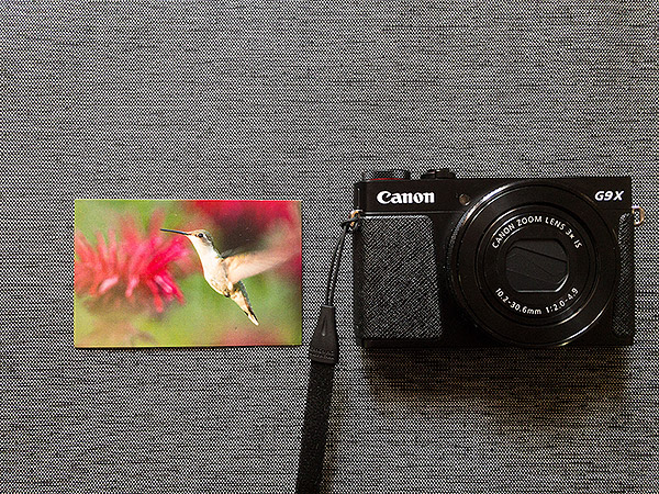 Canon G9X Mark II Review - Field Test - Imaging Resource