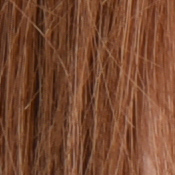 D810 Exposure image 23