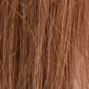 D810 Exposure image 24