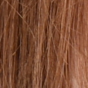 D810 Exposure image 26