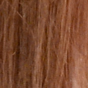 D810 Exposure image 31