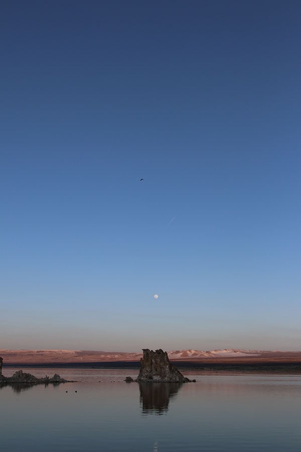 77D Field Test image 8