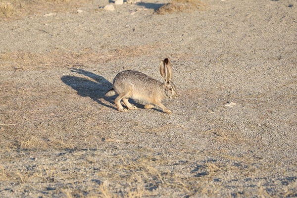 77D Field Test image 23