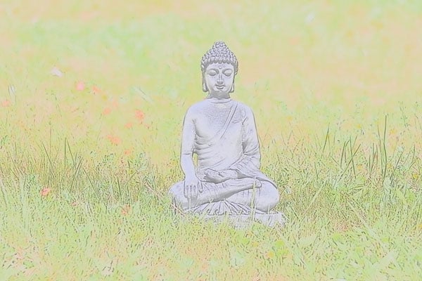 77D Field Test image 26