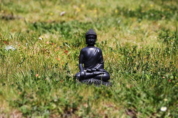 77D Field Test image 27