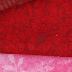 77D Image Quality image 6