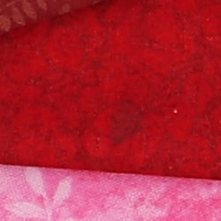 77D Image Quality image 11