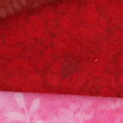 77D Image Quality image 36