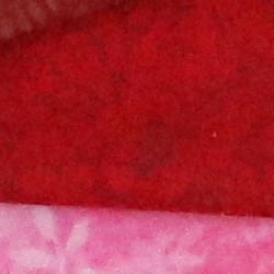 77D Image Quality image 66