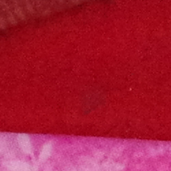 77D Image Quality image 78