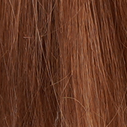 A9 Exposure image 15
