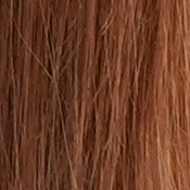 A9 Exposure image 25