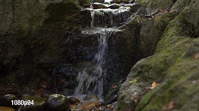 A9 Video image 3