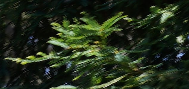 A9 Field Test Part III image 23