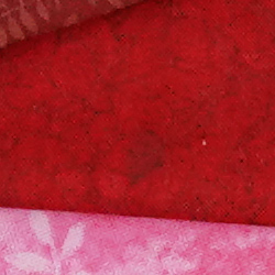A9 Image Quality image 41