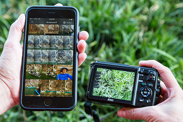 Nikon COOLPIX W300 Nikon Coolpix W300 Review: Best Deep-Diving