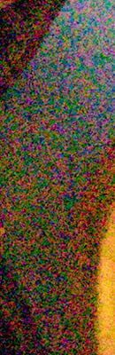 6D Mark II High ISO Noise Reduction image 105