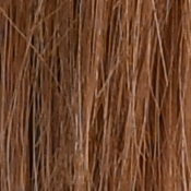 D850 Exposure image 24