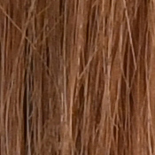 D850 Exposure image 28
