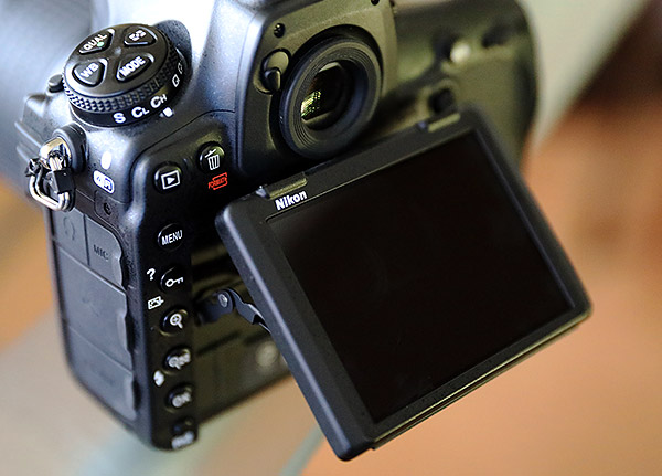 D850 Field Test Part II image 11