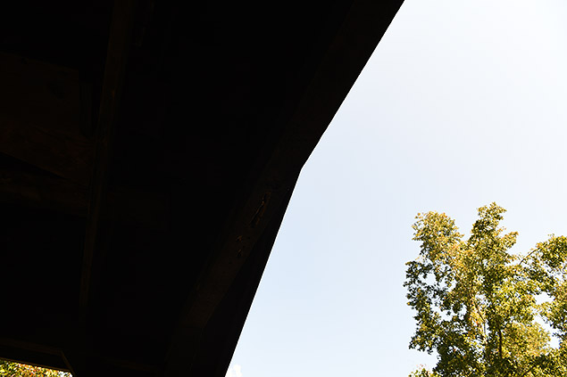 D850 Field Test Part II image 23