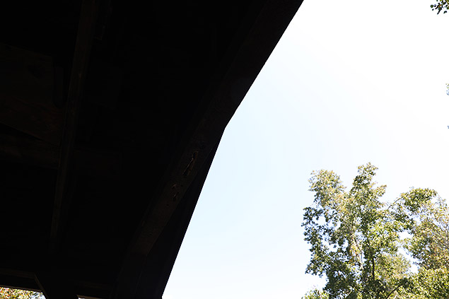 D850 Field Test Part II image 24