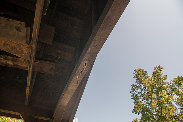 D850 Field Test Part II image 25