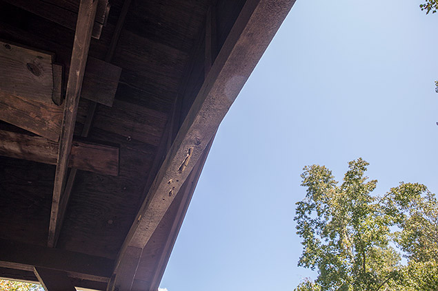 D850 Field Test Part II image 27